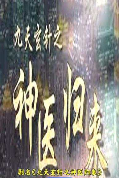 The divine doctor of the Nine Heavens Mysterious Needle returns