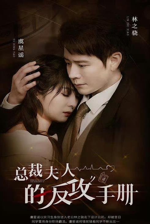 The president's wife's counteroffensive manual