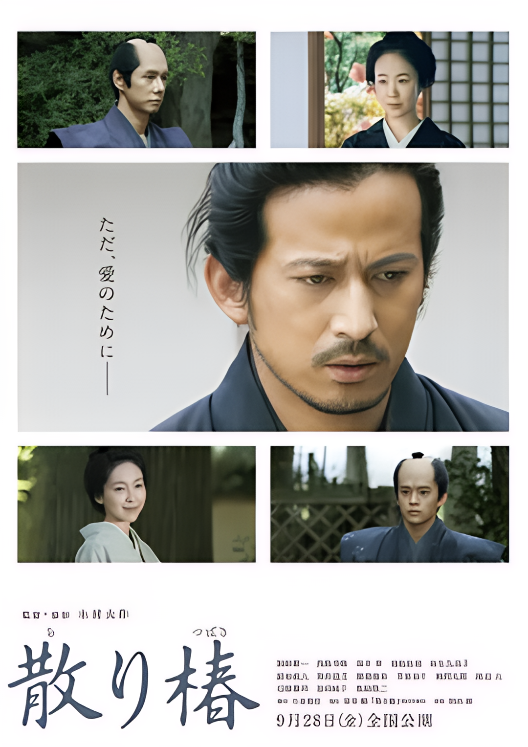 동백꽃이 떠내려가고 있습니다