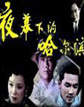 Харбин ночью (версия 84)