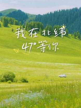 I'm waiting for you at 47° north latitude