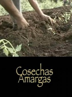 苦澀的收穫
