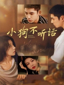 강아지는 말을 안 듣고 있어요