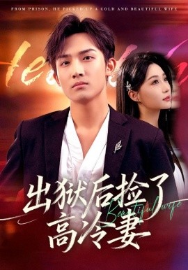 After being released from prison, he picked up Gao Leng's wife