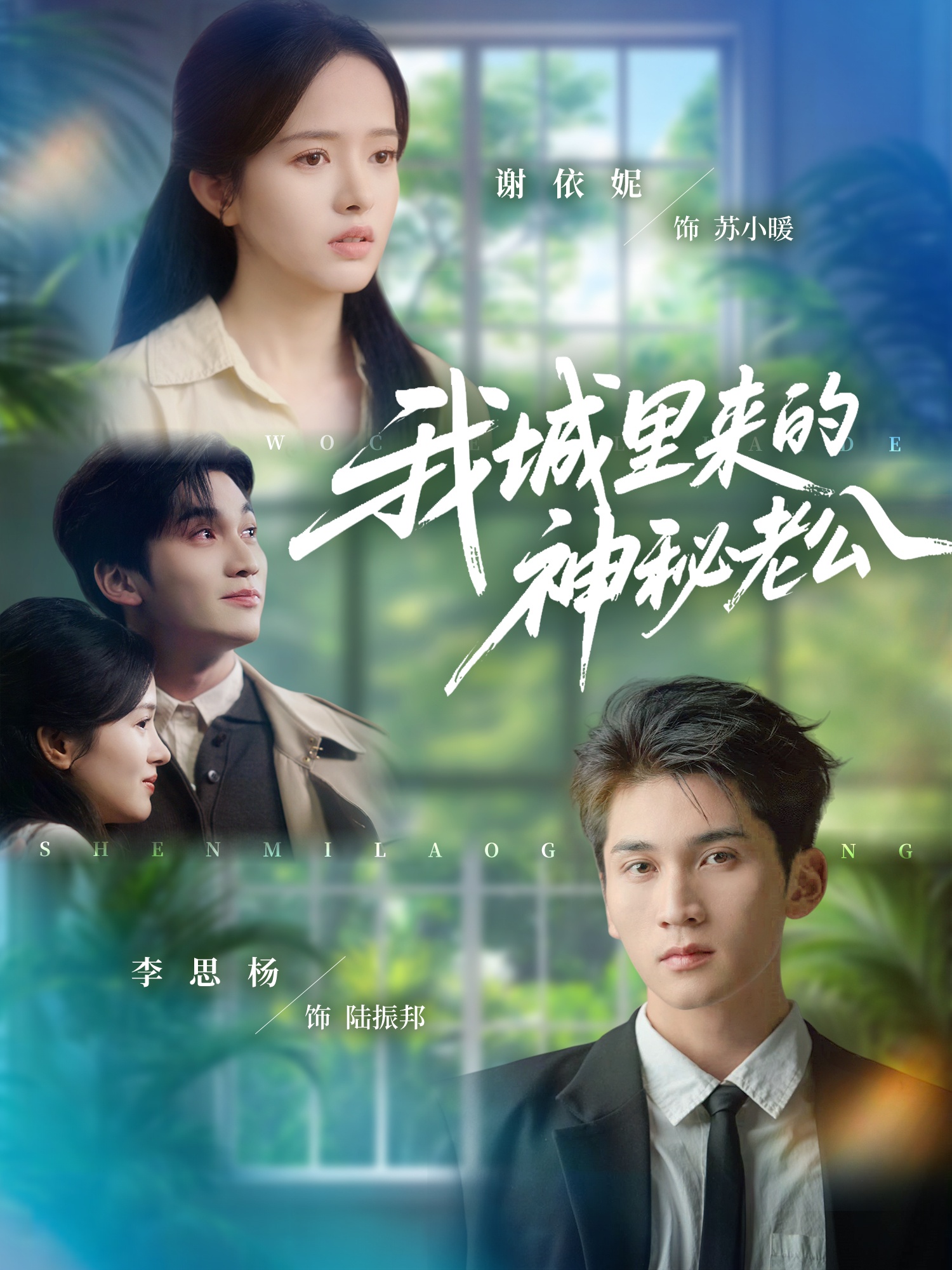 My mysterious husband from the city